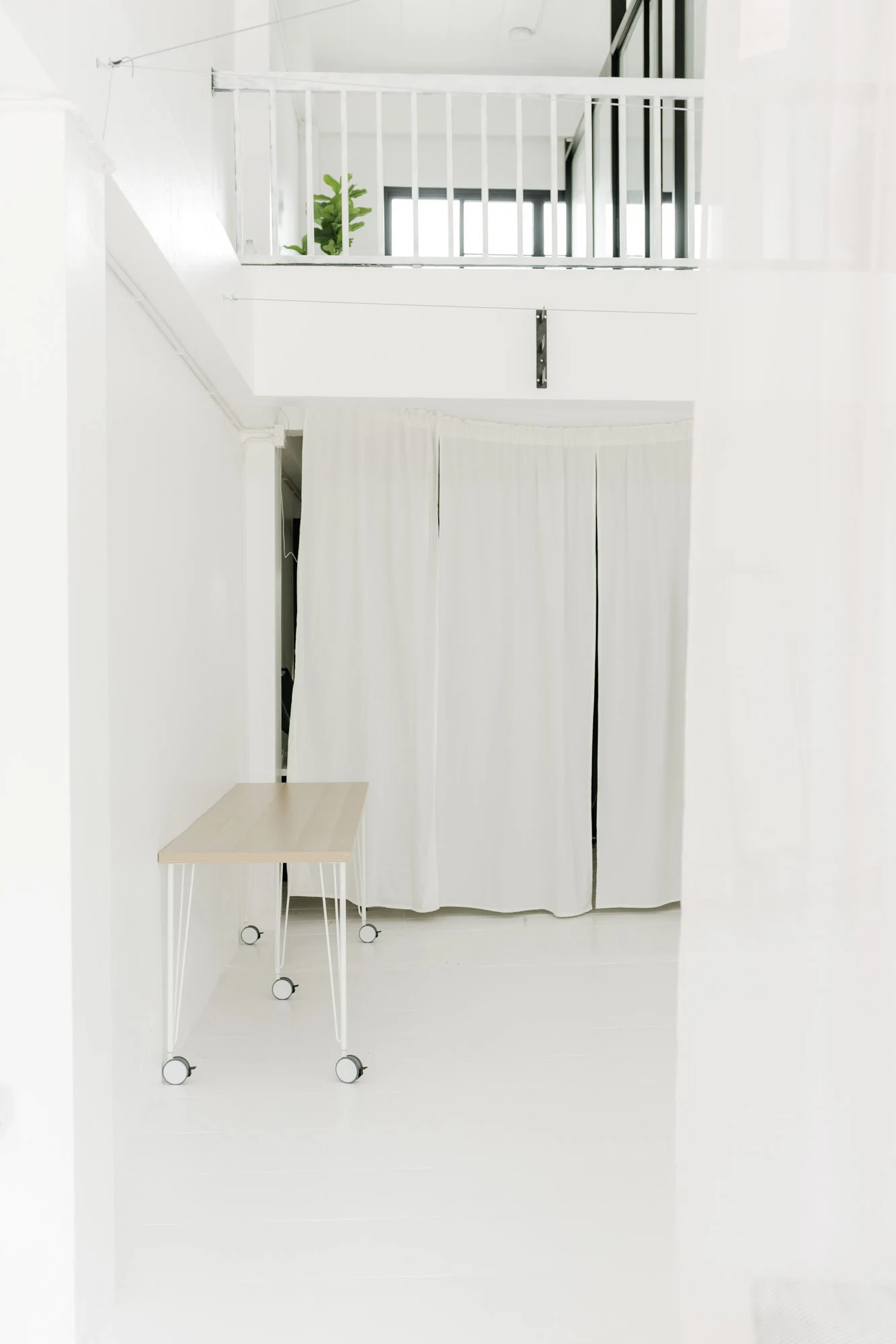 Macro beauty photography highlighting unique organic textures and natural light features